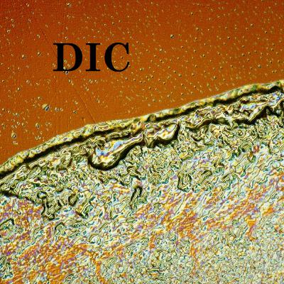 Microscópio de Interferência Diferencial ou Nomarski