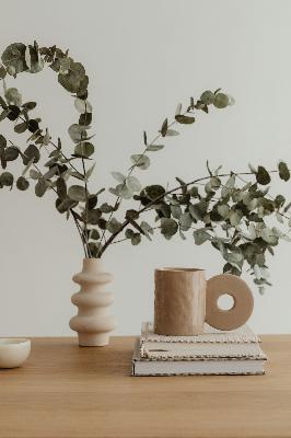 All of the Behind the Scenes of My Recent Launch