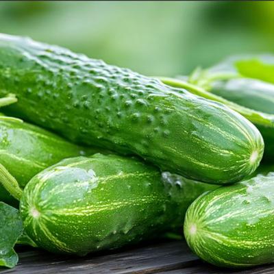Are Cucumbers Good for You? Discover 20 Science-Backed Health Benefits of Cucumber and Why This Crunchy Superfood Belongs in Your Diet—From Bloom Ranch of Acton