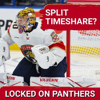 SPLIT TIMESHARE? December schedule fill force more starts for Tarasov. How do they handle the month?