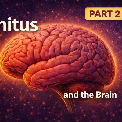 342 - A Brain-Based Approach to Tinnitus (Part 2): Making Sense of Treatment Options 342 - A Brain-Based Approach to Tinnitus (Part 2): Making Sense of Treatment Options