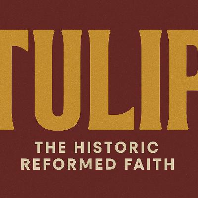 Perseverance of the Saints Perseverance of the Saints