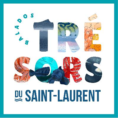 L’aire marine protégée du Banc-des-Américains: son importance pour les Premières Nations Mi'kmaq, et le travail de l'Association de gestion halieutique autochtone Mi'kmaq et Wolastoqiyik