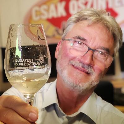 Budapest Borfesztivál S07E20 Zilai Zoltán Budapest Borfesztivál S07E20 Zilai Zoltán