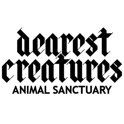 Interview with Coral Thomas of Dearest Creatures Interview with Coral Thomas of Dearest Creatures