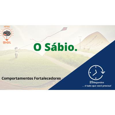 O Sábio