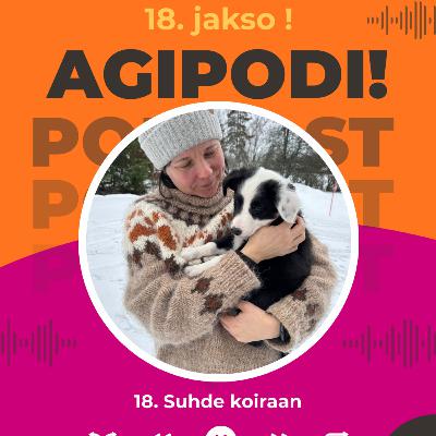 18. Suhde koiraan