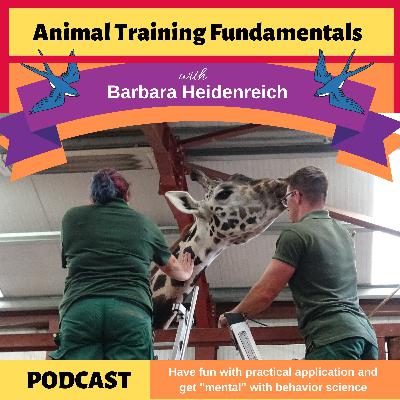 32 - 7 Myths About Negative Reinforcement 32 - 7 Myths About Negative Reinforcement