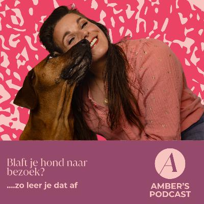 Blaft je hond naar bezoek? Zo leer je dat af #197 Blaft je hond naar bezoek? Zo leer je dat af #197