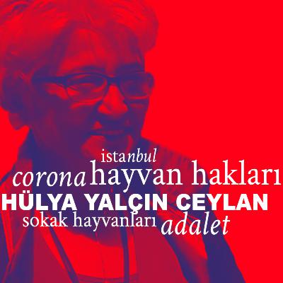 S01E09 - istanbul, sokak hayvanları, corona, adalet ve hayvan hakları S01E09 - istanbul, sokak hayvanları, corona, adalet ve hayvan hakları