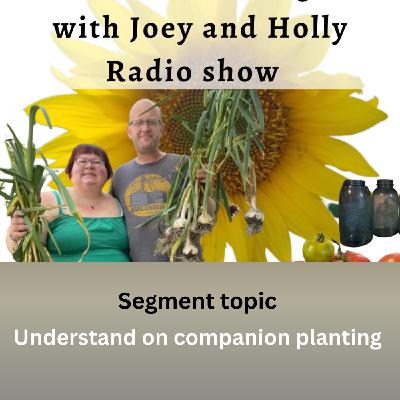 Episode 1523: Seg 1 of S10E5 understanding companion planting - The Gardening with Joey and Holly Radio Show