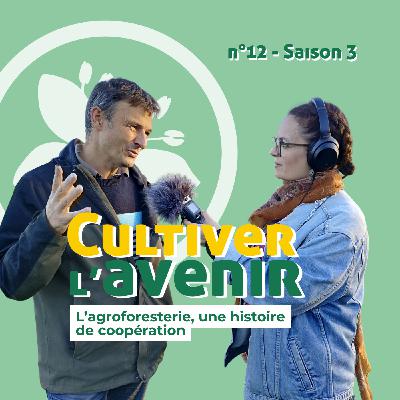 n°12 :  L’agroforesterie : une histoire de coopération, chez Gaël