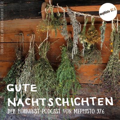 Das war ein Träumchen (Folge 28) Das war ein Träumchen (Folge 28)
