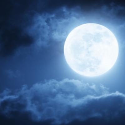 חיים ברטרו | הנחיתה על הירח