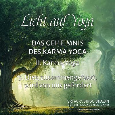 Das Geheimnis des Karma-Yoga (8)