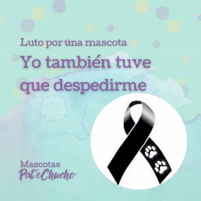 Luto Por Una Mascota: Yo También Tuve Que Despedirme