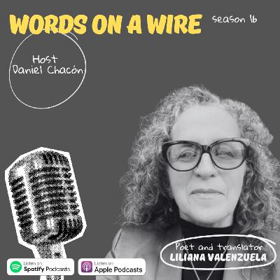 Episode 36: A conversation with Liliana Valenzuela