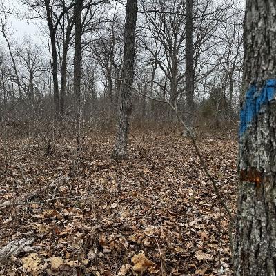 TSI - What Your Farm is Likely Missing