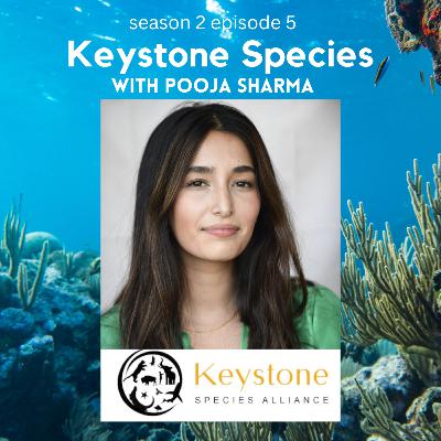 S2E5: Keystone Species with Pooja Sharma