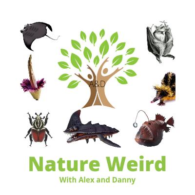 Thanksgiving podcast nature weird November 2020