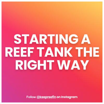 S1-03// Starting reefing hobby the right way