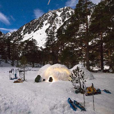 Baños de bosque nevados