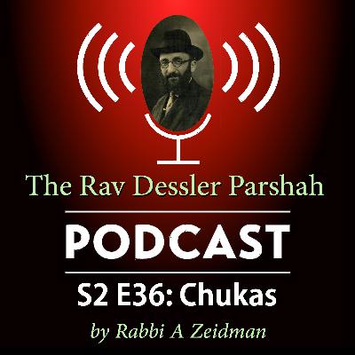 Chukas: The Rebbe, the Student, and the Space Between