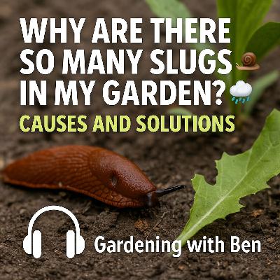 🎧 Why Are There So Many Slugs in My Garden? 🐌🌧️ Causes and Solutions 🌱✨