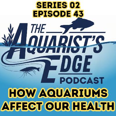 The Healing Power of Aquariums: How Fishkeeping Improves Your Body, Mind, and Spirit The Healing Power of Aquariums: How Fishkeeping Improves Your Body, Mind, and Spirit