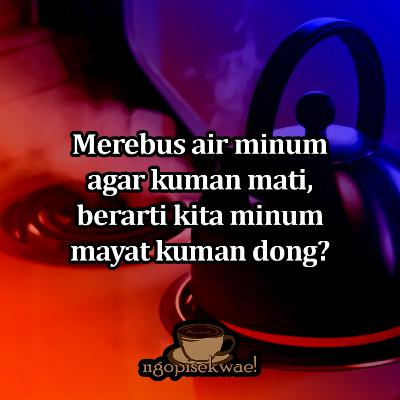 Benarkah kita minum mayat KUMAN?