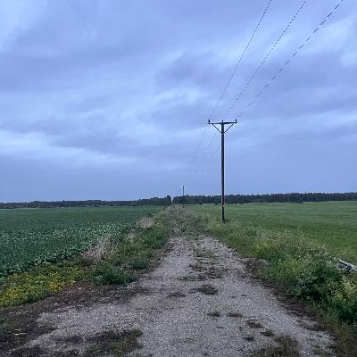 178. Marteboljuset hälsar på