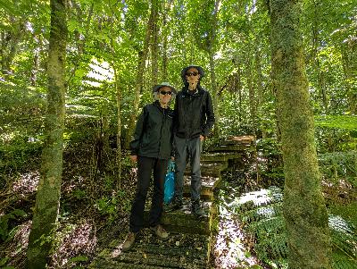 Auckland Confidential: A dispatch from the Southern Hemisphere summer