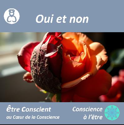 Oui et non ~ podcast