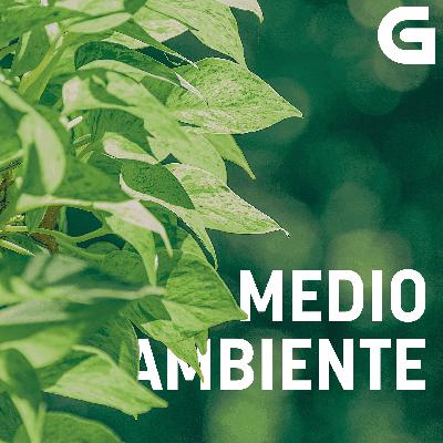 O Entroido dos animais O Entroido dos animais