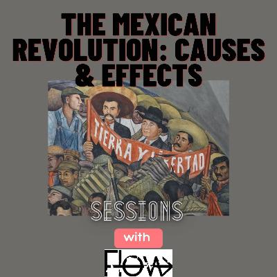 The Mexican Revolution: Causes & Effects