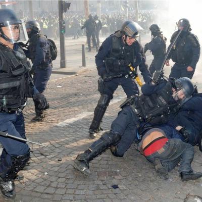 Ungrateful France forgets enormous contributions of 'vermin' Africans Ungrateful France forgets enormous contributions of 'vermin' Africans