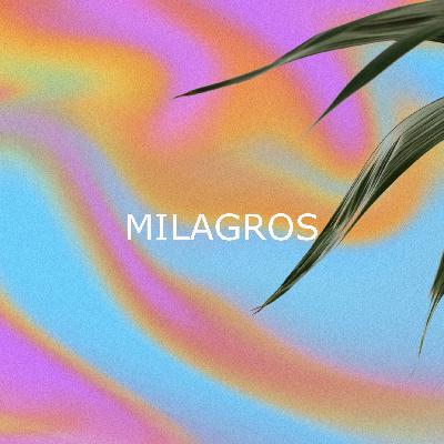 ¿POR QUÉ Y PARA QUÉ?