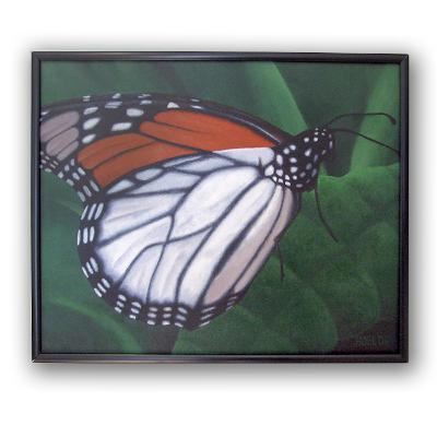 The Story of The Unfolding Butterfly