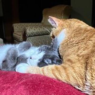 Episode 3023 CWSA 11/19/25