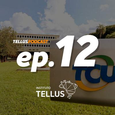 Tellus Podcast #12 - Inovação no Setor Público com Fabiana Ruas