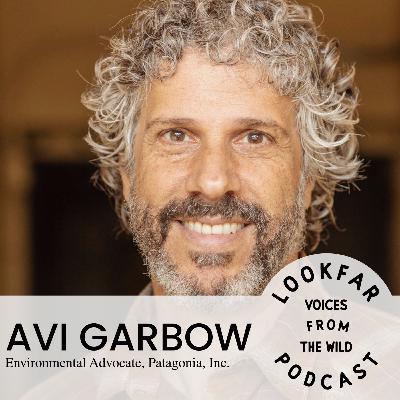 Avi Garbow - Advocating for the Earth Avi Garbow - Advocating for the Earth