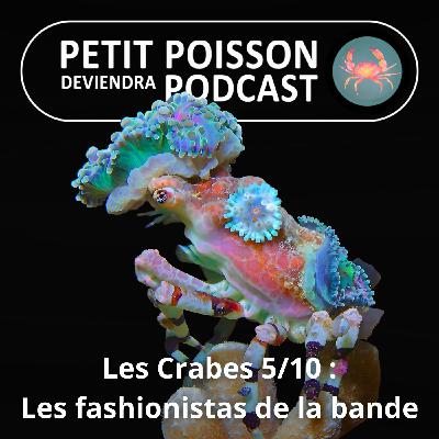 S04E35 Les Crabes : Le Crabe décorateur, le fashionista de la bande !