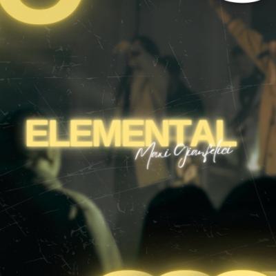Elemental | Maxi Gianfelici