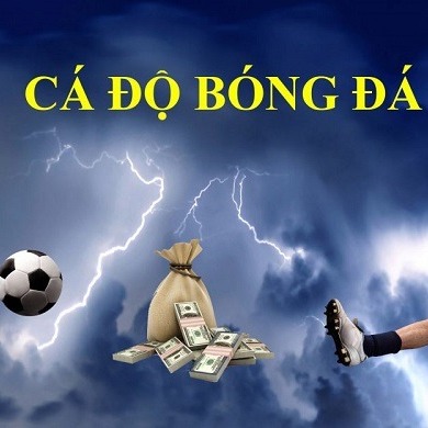 Nhandinhbongda