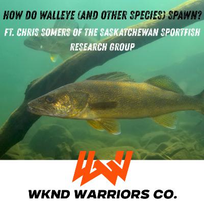 Episode 96 // How Do Walleye and Other Species Spawn ft. Chris Somers