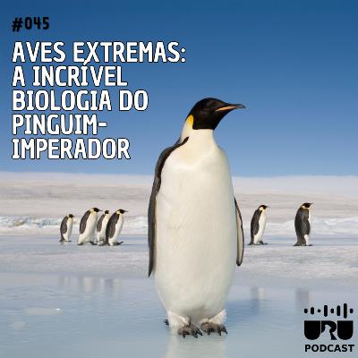 #045 - Série Aves Extremas: A incrível biologia do Pinguim-imperador