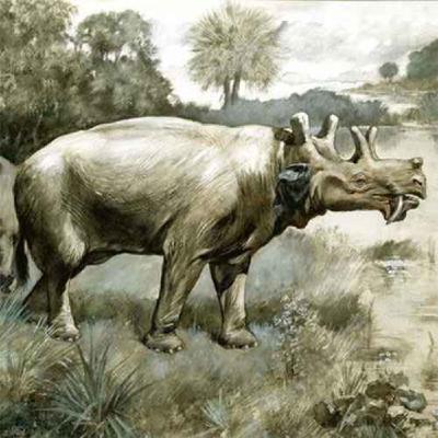 Uintatherium, the Beast of the Uinta Mountains