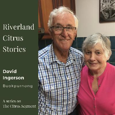 Riverland Citrus Stories | Episode 2 – David Ingerson: Four Generations of Citrus Growth