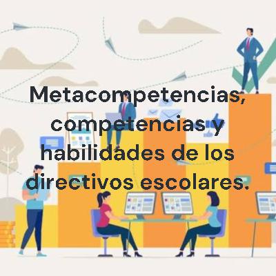 meta competencias, competencias y habilidades de los directivos escolares. meta competencias, competencias y habilidades de los directivos escolares.