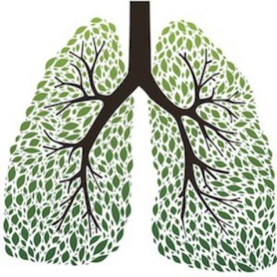 Cancer and Cannabis